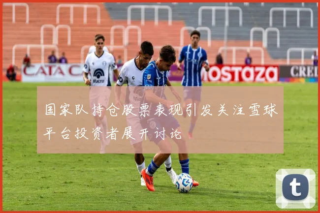 国家队持仓股票表现引发关注雪球平台投资者展开讨论